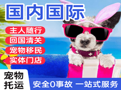 阿克苏红旗坡航空空运国际宠物托运 【国